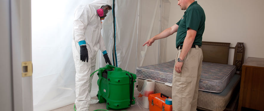 Fort Mill, SC mold removal process
